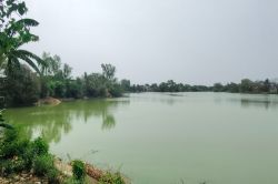 तालाब का अस्तित्व खतरे में, बदबू से ग्रामीण हो रहे हैं परेशान - image