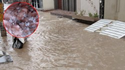 राजस्थान में यहां बारिश के साथ गिरे ओले, अंधड़ से विद्युत पोल व पेड़ धराशायी - image