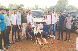 CG News: हिरण की खाल और सिंग के साथ 3 तस्कर गिरफ्तार, वन विभाग की टीम ने
घेराबंदी कर पकड़ा - image