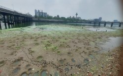 वासणा बैराज के दरवाजों की होगी मरम्मत, सफाई के लिए साबरमती नदी को किया खाली - image