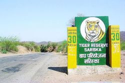 सरिस्का टाइगर रिजर्व की ऐसे बची जमीन - image
