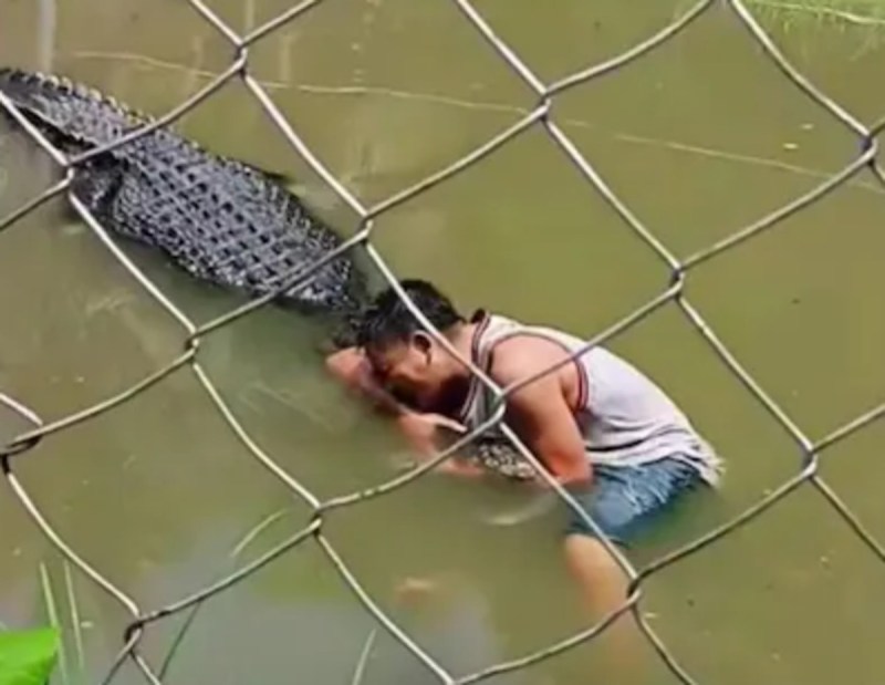 Man tries to take selfie with crocodile