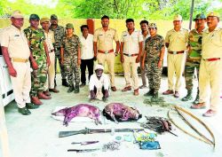 शेरगढ़ अभयारण्य से शिकारी पकड़े, मार दिए दो जंगली शूकर, विस्फोटक और बाज का पंजा
बरामद - image