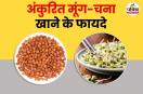 Moong chana sprouts nutrition benefits फोटो सोर्स – Freepik