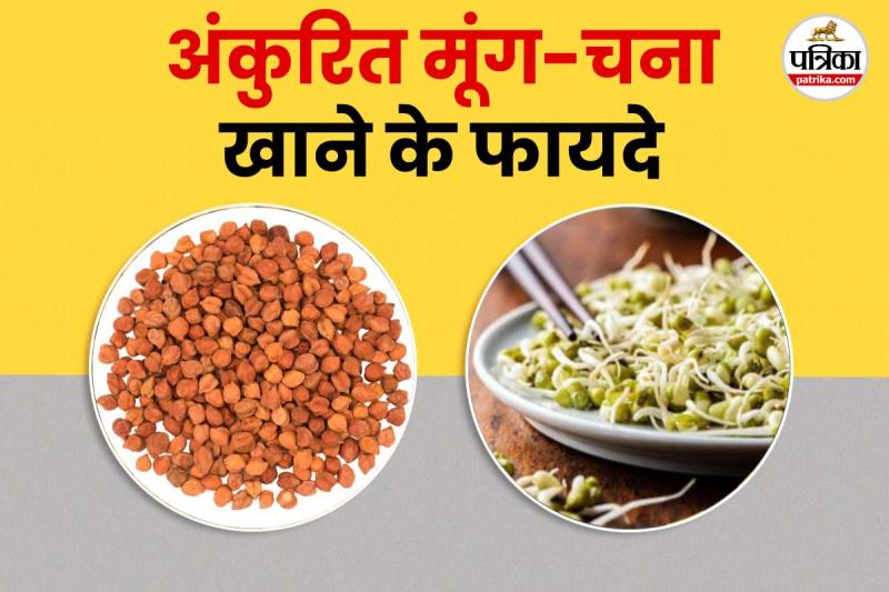 Moong chana sprouts nutrition benefits फोटो सोर्स – Freepik