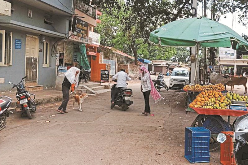 मधुमक्खी का हमला (फोटो सोर्स - पत्रिका)
