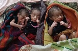 राजस्थान के भीलवाड़ा में महिला ने एक साथ 3 बेटों को दिया जन्म, बच्चों की किलकारी
गूंजने से घर में जश्न का माहौल - image