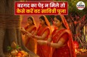 Vat Savitri Puja: बरगद का पेड़ न मिले तो कैसे करें वट सावित्री पूजा