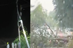 CG Weather: चार घंटे अंधेरे में डूबा रहा शहर, पेड़ और बिजली पोल गिरे, जनजीवन हुआ
प्रभावित - image