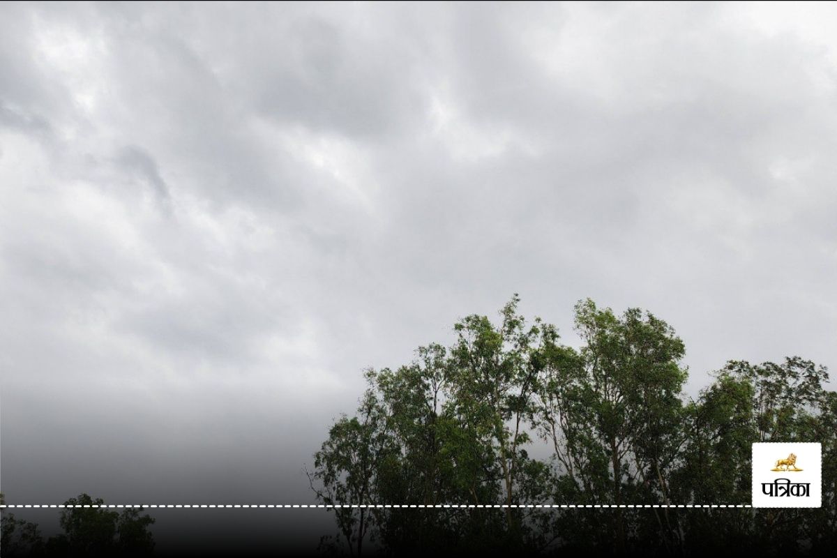 Weather Alert : वेस्ट यूपी के इन जिलों में मौसम विभाग का अलर्ट, देर रात से बरसात
जारी