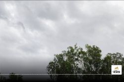 Weather Alert : वेस्ट यूपी के इन जिलों में मौसम विभाग का अलर्ट, देर रात से बरसात
जारी - image