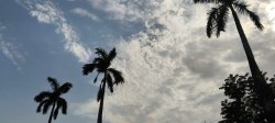 weather update : जबलपुर में आज आंधी-बारिश का अलर्ट, उमस के साथ सता रही तेज गर्मी - image