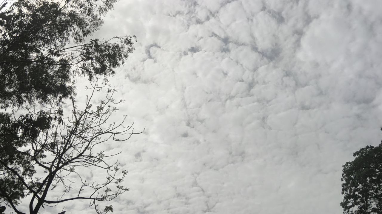 Cloudy skies and thunderstorms to persist until 25 May, with winds gusting up to
40 kmph