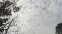 Cloudy skies and thunderstorms to persist until 25 May, with winds gusting up to
40 kmph