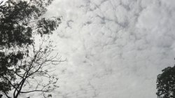 Weather news : 25 मई तक बादल-बारिश का दौर, 40 किमी की रफ्तार से चली आंधी - image