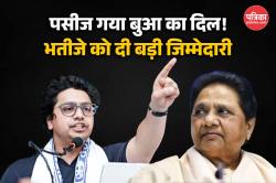 फिर से पसीज गया बुआ मायावती का दिल! भतीजे आकाश आनंद को बनाया BSP का मुख्य नेशनल
कोऑर्डिनेटर  - image