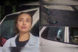 अलवर में रात को सक्रिय हुए गोतस्कर, पशु प्रेमियों पर बोतलों और पत्थरों से हमला - image