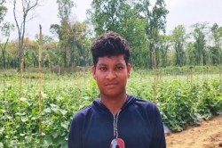 CG News: जंगल के बीच डिजिटल खेती: युवा किसान मनसाय नेताम ने यूट्यूब से सीखा खेती
करना और रचा इतिहास - image