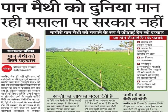 patrika news