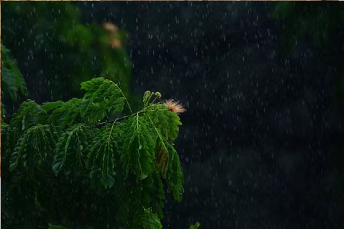प्रदेश में मानसून ने दी दस्तक, कहीं मूसलाधार बारिश तो कहीं पड़ रही हल्की फुहार