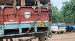 ट्रक में हो रहा था साल की लकड़ी का परिवहन, वन विकास निगम की टीम ने जब्त किया
ट्रक - image