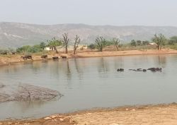 ढहलावास के दीपचंद का जोहड़ सरिस्का की वादियों में पर्यावरण संरक्षण को दे रहा
मजबूती - image