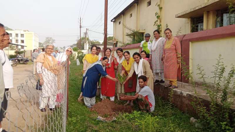 पौध रोपण के क्षेत्र में कारगर साबित हो रहे कदम संस्था के प्रयास