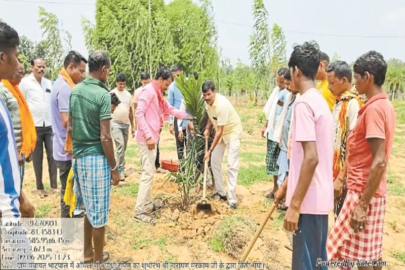 खाद्य तेल में आत्मनिर्भरता की ओर बढ़ता देश (Photo source- Patrika)