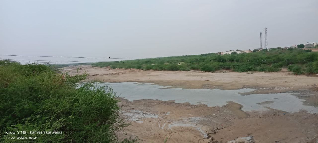 कच्छ की खाड़ी तक बने ड्रेन सिस्टम, तो लूणी को मिलेगी संजीवनी - image