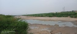 कच्छ की खाड़ी तक बने ड्रेन सिस्टम, तो लूणी को मिलेगी संजीवनी - image