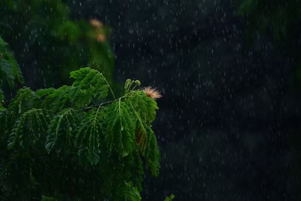CG Monsoon 2025: मानसून का रौद्र रूप! अगले 3 दिनों तक इन जिलों में होगी भारी
बारिश, Alert जारी