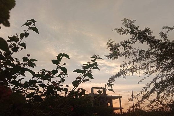 CG Monsoon 2025: 22 जिलों में आंधी-बारिश का यलो अलर्ट जारी, गरज-चमक के साथ चलेंगी तेज हवाएं, देखें ताजा Update