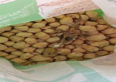 Short video poster image