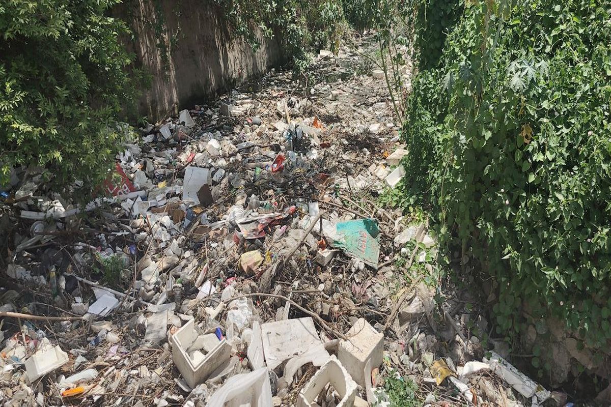 राजस्थान की यह नगर परिषद बारिश में कराएगी यह काम…पढ़े पूरी खबर