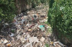 राजस्थान की यह नगर परिषद बारिश में कराएगी यह काम…पढ़े पूरी खबर - image