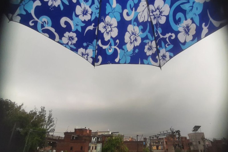 बारिश का कहर, 48 घंटे में 41 मौतें, हीटवेव का असर खत्म, मानसून की दस्तक जल्द फोटो सोर्स : Patrika