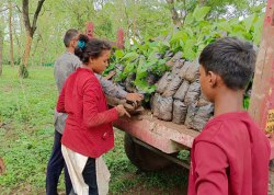 जंगलों में लगाएंगे अश्वगंधा, शताबरी और सिंदूर के पौधे - image