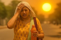 Weather Alert: अगले सात दिन मौसम रहेगा बेहाल: आंधी-बारिश के साथ उमस और लू की
दोहरी मार - image