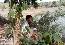 वार्षिक गणना मेंं 5 हजार से अधिक वन्य जीव मिले, सबसे ज्यादा नील गाय - image