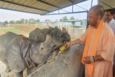 दुधवा राष्ट्रीय उद्यान में दो नए आरआरए केंद्रों की स्थापना, 1.5 करोड़ रुपये की स्वीकृति      फोटो सोर्स : Patrika
