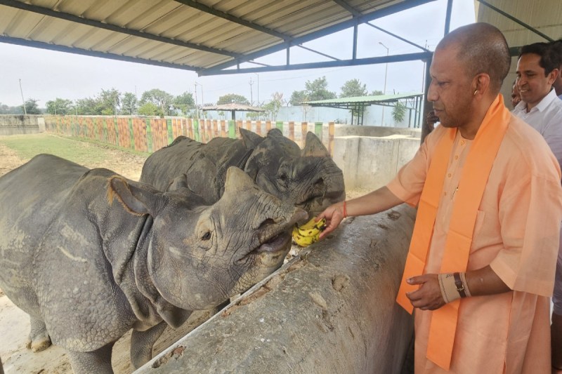 दुधवा राष्ट्रीय उद्यान में दो नए आरआरए केंद्रों की स्थापना, 1.5 करोड़ रुपये की स्वीकृति फोटो सोर्स : Patrika