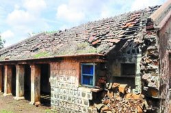 जनपद क्षेत्र के 174 स्कूलों को मरम्मत की दरकार, जर्जर स्कूलों में बच्चे करेंगे
फिर पढ़ाई - image