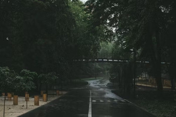 CG Monsoon 2025: 22 जिलों में आंधी-बारिश का यलो अलर्ट जारी, गरज-चमक के साथ चलेंगी तेज हवाएं, देखें ताजा Update