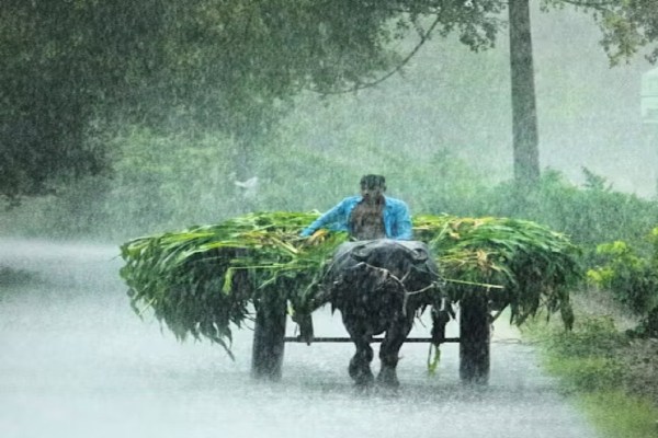 CG Weather Update: IMD का बड़ा अपडेट! अगले पांच दिनों तक इन इलाकों में होगी बारिश, Alert जारी