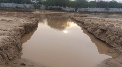 सेज थाने के भंभोरिया गांव की घटना