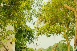 Weather Update: अगले 5 दिनों तक सताएगी भीषण गर्मी, तापमान पहुंचेगा 46 डिग्री - image