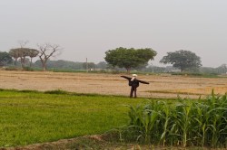 Weather Update: धधक रहा जून, घरों में छिपे लोग, जानिए कब तक पड़ेगी ऐसी गर्मी - image