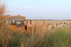 Mau Accident : बारातियों से भरी बस खाईं में गिरी, मची अफरा तफ़री - image