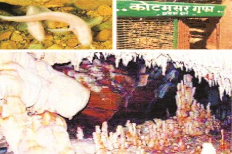 कोटमसर गुफा 1 जुलाई से हो जाएगा बंद (Photo source- Patrika)