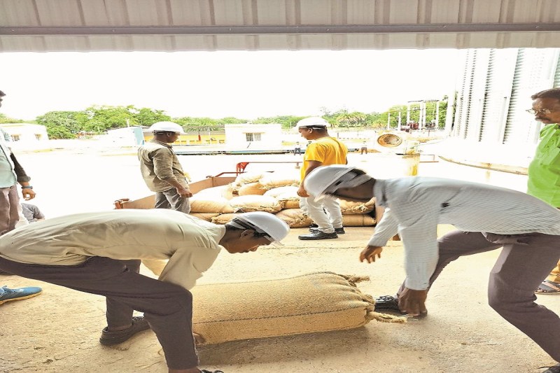 इथेनॉल निर्माण के लिए MSP पर मक्का की खरीद (Photo source- Patrika)